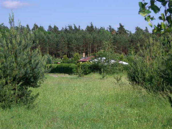 Junkerfeld