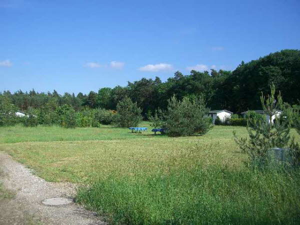 Junkerfeld